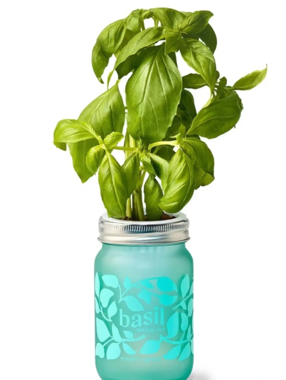 Modern Sprout Pint Jar Grow Kits bundles